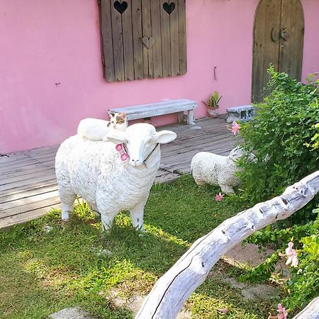 Whitiedoggie Villa Cape Eluanbi Exterior foto