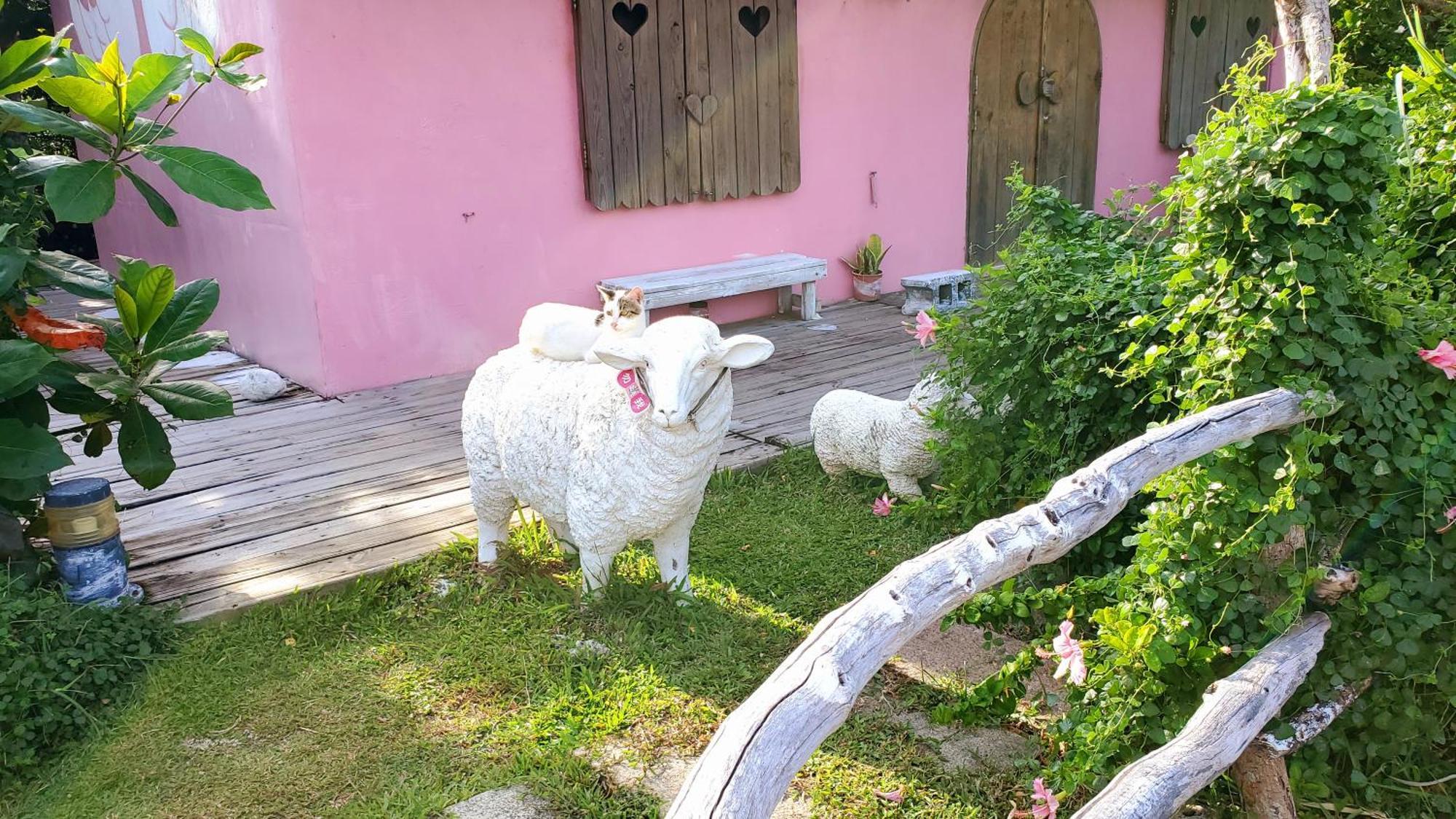 Whitiedoggie Villa Cape Eluanbi Exterior foto